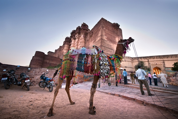 Quick Cultural Rajasthan Tour Package